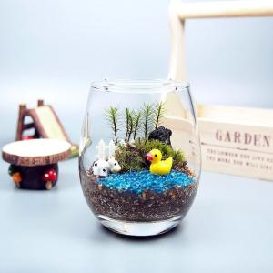 ルスプリット 苔テラリウム 手作りキット 観葉植物 ミニ テラリウム 苔