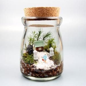 苔テラリウム 手作りキット寺苔 コルク付きビン ...の商品画像