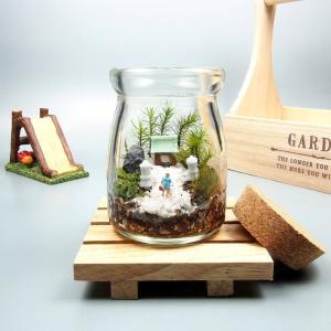 苔テラリウム 手作りキット寺苔 コルク付きビン...の詳細画像1