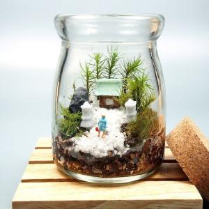 苔テラリウム 手作りキット寺苔 コルク付きビン...の詳細画像2