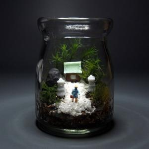 苔テラリウム 手作りキット寺苔 コルク付きビン...の詳細画像4