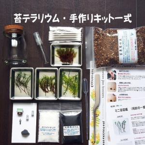 苔テラリウム 手作りキット寺苔 コルク付きビン...の詳細画像5