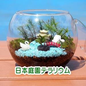 京都 日本庭園 苔テラリウム 手作りキット 一式 観葉植物 おしゃれ ミニ テラリウム コケリウム 苔 コケ アクアリウム  園芸 インテリア 緑 苔盆栽 癒し moss｜shopsutou