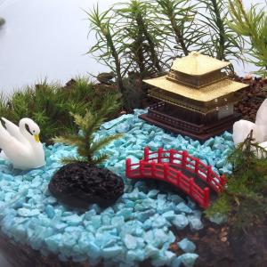京都 日本庭園 苔テラリウム 手作りキット 一...の詳細画像2