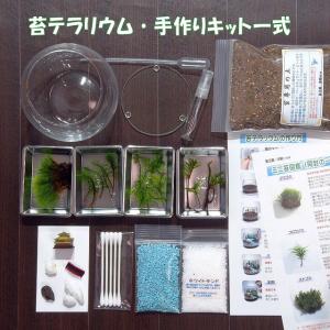 京都 日本庭園 苔テラリウム 手作りキット 一...の詳細画像5