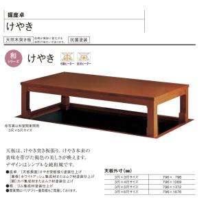 Panasonic（パナソニック） 堀座卓和シリーズ けやき【XXMHBDP61MKG