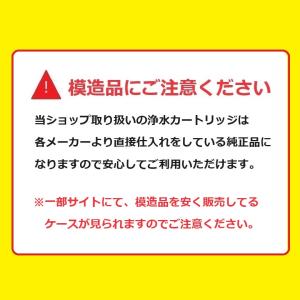 SEPZS2103PC 【在庫あり】 パナソニ...の詳細画像1