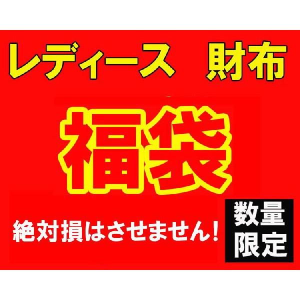 福袋 レディース 財布 サイフ 数量限定 大当たり  17000円 新品