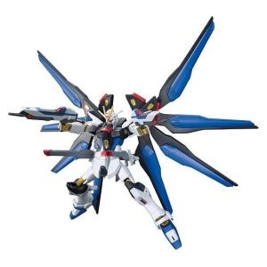 BANDAI（バンダイ） RG 機動戦士ガンダムSEED DESTINY ZGMF-X42S