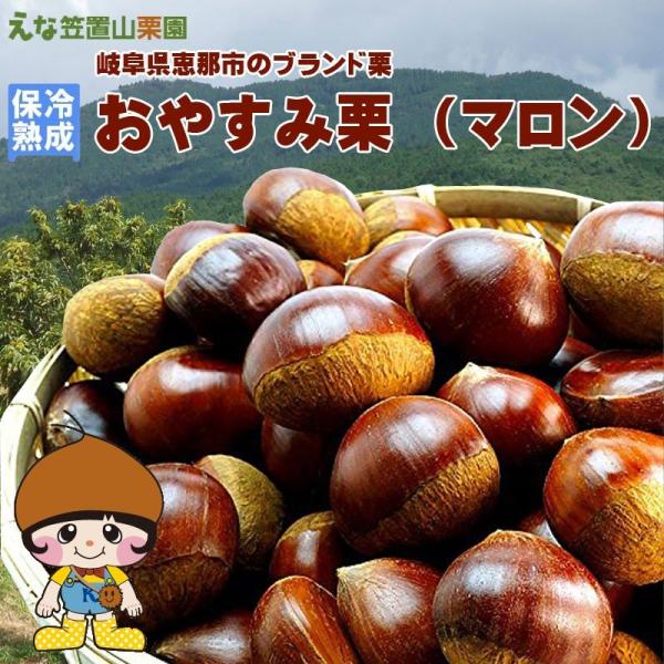 【保冷熟成】岐阜県えな笠置山栗園の甘和栗「おやすみ栗（マロン）」2L 3kg 【国産恵那栗・無燻蒸・...