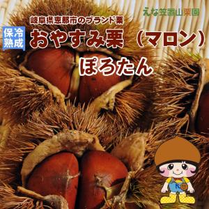 【保冷熟成】岐阜県えな笠置山栗園の甘和栗「おやすみ栗 ぽろたん」2L 1kg 【国産恵那栗・無燻蒸・生栗】【クール便】｜shoptakumi