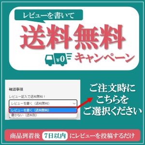 【小動物歯科研究医が監修】 犬 歯ブラシ 小型...の詳細画像5
