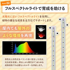 植物育成ライト led 観葉植物 ランプ 太陽...の詳細画像4