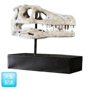 ＦＲＰ恐竜オブジェ　ラプトルの頭骨｜shoptukiusagi