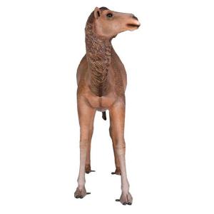 FRPアニマルオブジェ 雄のひとコブラクダの詳細画像2