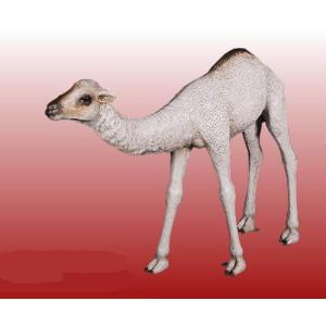 ＦＲＰアニマルオブジェ　ひとコブラクダの赤ん坊
