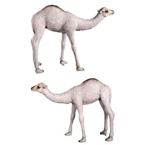 FRPアニマルオブジェ ひとコブラクダの赤ん坊の詳細画像2