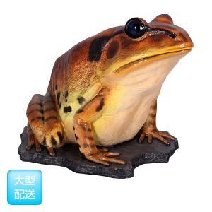 FRP動物オブジェ 巨大な縞足ガエルの商品画像