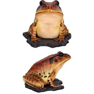 FRP動物オブジェ 巨大な縞足ガエルの詳細画像1