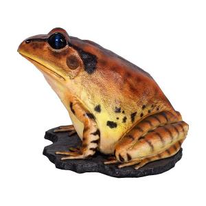 FRP動物オブジェ 巨大な縞足ガエルの詳細画像2