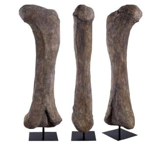 FRP恐竜オブジェ アパトサウルスの大腿骨の化...の詳細画像1