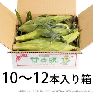 とうもろこし 甘々娘 (かんかんむすめ) 10...の詳細画像1