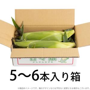 とうもろこし 甘々娘 (かんかんむすめ) 5〜...の詳細画像1
