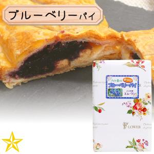 ブルーベリーパイ ショート 八ヶ岳 つぶつぶ ブルーベリー 手づくりパイ パイの家 エム ワン