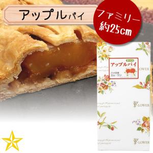 りんごパイ 310g かさい製菓 青森県 弘前市 青森県産 アップルパイ 