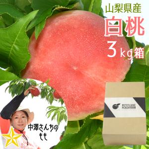 もも 山梨県産 送料無料 朝取 新鮮 農家直送 桃 1.4kg箱 (4〜6玉) 中澤