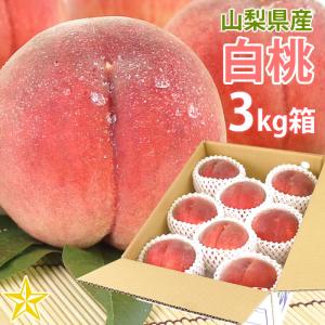 もも 白桃 白鳳 山梨県産 送料無料 朝取 新鮮 農家直送 桃 3kg箱 (8〜12玉)｜shopvision