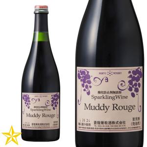 SUNTORY サントリー 白州 森香るハイボール ソーダ内包セット 43