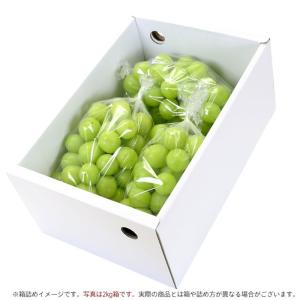 ぶどう シャインマスカット 山梨県産 送料無料...の詳細画像2