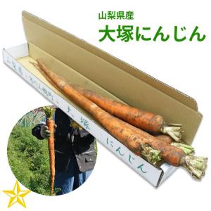 にんじん 大塚にんじん 2kg 山梨県 市川三郷産 長いニンジン