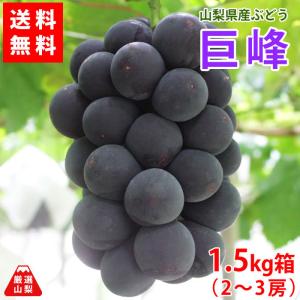 とうもろこし 甘々娘 (かんかんむすめ) 5〜6本 ふぁーむわたなべ