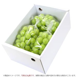 ぶどう シャインマスカット 山梨県産 送料無料...の詳細画像1