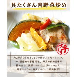具たくさん肉野菜炒め1パック 惣菜 お惣菜 お...の詳細画像1