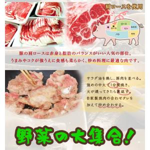 具たくさん肉野菜炒め1パック 惣菜 お惣菜 お...の詳細画像2