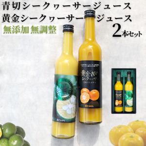 宮崎完熟マンゴー 2個セット 2Lサイズ ギフト プレゼント 贈答品 母の