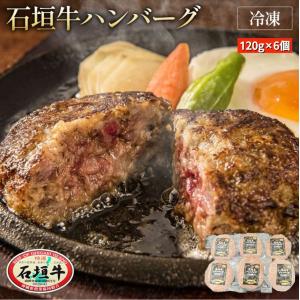 沖縄県産黒毛和牛 石垣牛ハンバーグ 【120g×6個】 ギフト箱入り 高級 豚肉 ギフト 贈り物 高級 贈答 内祝 お返し 人気 父の日 お中元 お歳暮 母の日