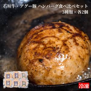 石垣牛・アグー豚 ハンバーグ 食べくらべ 6個セット 肉汁 高級 ギフト 国産 沖縄 贈答 内祝 出産祝い お返し お取り寄せ 母の日 父の日 お中元 お歳暮｜やえやまファーム