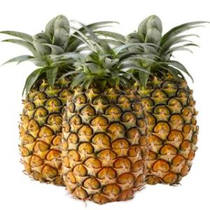 石垣島産 島パイン(ハワイ種)　約2.8kg(2〜4玉) 国産 沖縄