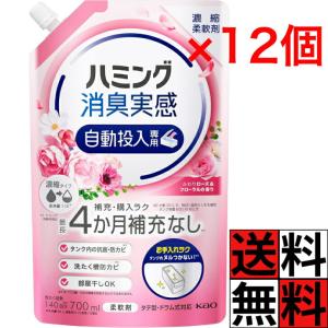 Amazon.co.jp限定まとめ買い 大容量 トップ ナノックス(NANOX