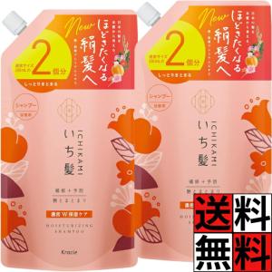 いち髪 シャンプー 詰め替え 濃密W保湿ケア 大容量 ノンシリコン アミノ酸 ヘアケア ダメージケア 絹髪 髪の毛 ツヤ まとまり あんず 桜 2個分 660ml ×2個
