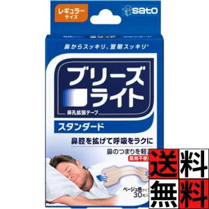 ブリーズライト スタンダード レギュラー 30枚...の商品画像