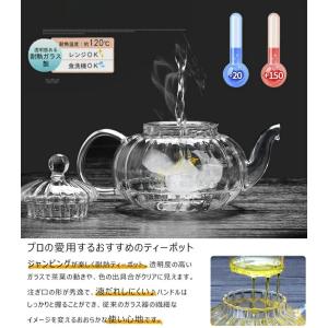 ティーポット ガラスティーポット 耐熱ガラス ...の詳細画像2