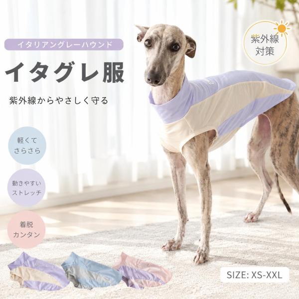 イタグレ ミニピン 春夏用 ハイネック タンクトップ ナイロン ストレッチ 速乾仕様 軽量 通気性 ...