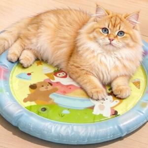犬用ウォーターベッド 厚手強化 引っ掻き 噛み...の詳細画像5