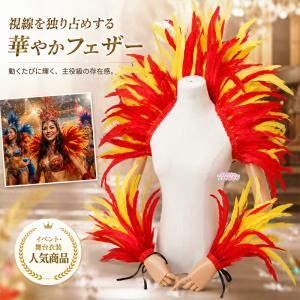 コスチューム ショール 男女兼用 羽毛 フェザー マント ケープ サンバ カーニバル ハロウィン 仮装 パーティー 舞台 イベント 演出 パフォーマンス 衣装