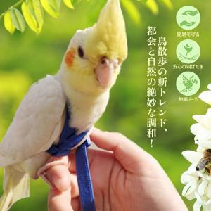 鳥用ハーネス2点セット 鳥用ハーネス+リード ...の詳細画像1